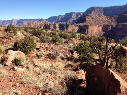 Horseshoe Mesa, the west end of the segment courtesy of Akos Kokai&nearr; (CC BY 2.0&nearr;)