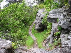 Boulders Along Rainbow Falls Trail courtesy of Scott Basford↗