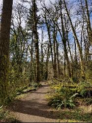 Backpack, Hike, and Horseback at Tryon Park near Portland, Oregon. Maps, directions, and reviews.   Imagine stepping into a lush forest, where woodpeckers forage, squirrels leap from limb to limb, owlets wait quietly for... (image:  added by lisaschnelle)