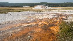 Hike at Sentinel Meadows & Queen's Laundry near Madison, Yellowstone National Park. Maps, directions, and reviews. The hike to Sentinel Meadows and Queens Laundry gives you a level trail with wide open meadows, hot springs,... (image: Sentinelmeadows Jp Sm added by gnau)