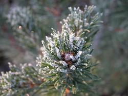 Riddle Lake courtesy of tzejen↗