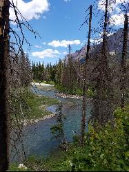 View of the river beyond St Mary Falls courtesy of katiemia↗