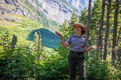 The trail to Avalanche Lake courtesy of GlacierNPS&nearr; (Public domain&nearr;)