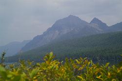 The wooded shore of Bowman Lake courtesy of GlacierNPS&nearr; (Public domain&nearr;)