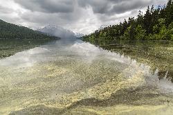 Still morning water on Bowman Lake courtesy of GlacierNPS&nearr; (Public domain&nearr;)