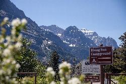 A site at Rising Sun Campground courtesy of GlacierNPS&nearr; (Public domain&nearr;)