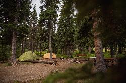 A campsite at Cut Bank courtesy of GlacierNPS&nearr; (Public domain&nearr;)