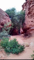 Red sandstone formations at Pioneer Park, home of Dixie Rock courtesy of bob&nearr; (CC BY-SA 4.0&nearr;)