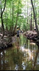 A Break at Secret Creek Trail by Sarah Whicker