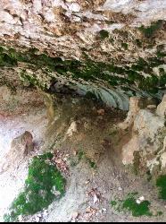 Mossy Cave Trail 3 added by tasiawhicker