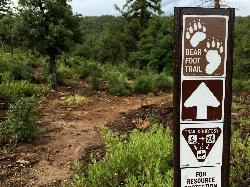 Start of the Bear Foot Trail courtesy of Alan Levine↗