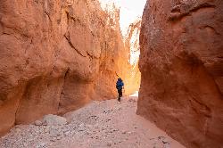 Entrance to Coyote Gulch Slot Canyon courtesy of Jake Law↗