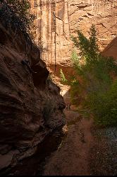 Cliff Face in Coyote Gulch courtesy of Jake Law↗