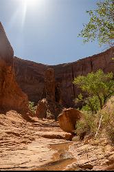 Rock Column in Coyote Gulch courtesy of Jake Law↗