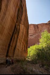 Rock face in Coyote Gulch courtesy of Jake Law↗