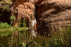 Escalante River in Coyote Gulch Slot Canyon courtesy of Jake Law↗