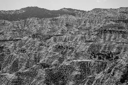 Natural Monument Coyote Gulch courtesy of Jake Law↗