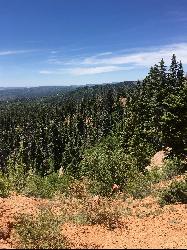 Cedar Breaks National Forest along Cascade Falls Trail by Tyler Burgener