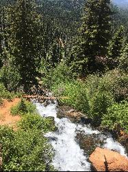 View of Cascade Falls flowing down the mountain by Tyler Burgener
