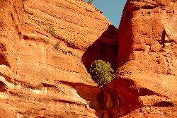 Hike at Schnebly Hill Vista Overlook near Sedona, Arizona. Maps, directions, and reviews. The Schnebly Hill Formation is a beautiful red rock gem in Sedona, Arizona. This rock formation is considerably big, which is why it is... (image: Life thrives courtesy of Al_HikesAZ↗)