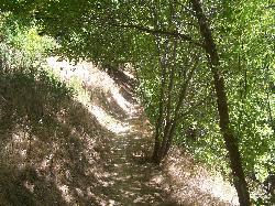 The shaded dirt trail along the park shoreline courtesy of Kasiarunachalam (talk)&nearr; (CC BY-SA 3.0&nearr;)