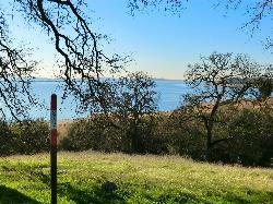 Oaks over the shoreline with green spring grass courtesy of UncleVinny&nearr; (CC BY 3.0&nearr;)