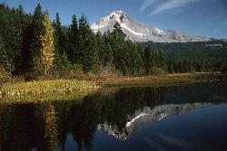 Forest and water at Trillium Lake in the Mount Hood National Forest courtesy of U.S. Forest Service- Pacific Northwest Region&nearr; (Public domain&nearr;)