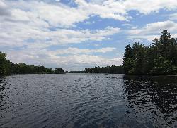 Atsion Lake looking east on a June afternoon courtesy of Mr. Matté (if there is an issue with this image, contact me using this image's Commons talk page, my&nearr; (CC BY-SA 4.0&nearr;)