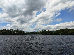Atsion Lake looking west toward the pines courtesy of Mr. Matté (if there is an issue with this image, contact me using this image's Commons talk page, my&nearr; (CC BY-SA 4.0&nearr;)