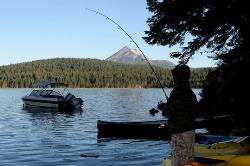 Fishing from the shore at Lake of the Woods courtesy of United States Forest Service&nearr; (Public domain&nearr;)