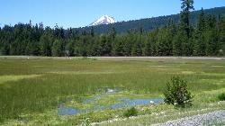 Meadow at the edge of Lake of the Woods with Mount McLoughlin beyond courtesy of james shaw&nearr; (CC BY-SA 3.0&nearr;)