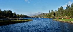 The pine shoreline at Hume Lake courtesy of Alexander Migl&nearr; (CC BY-SA 4.0&nearr;)