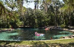 Swimmers in the stone-rimmed pool the Civilian Conservation Corps built over the spring vents in the courtesy of US Forest Service - Southern Region&nearr; (Public domain&nearr;)