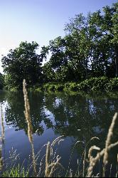 Still water in the impoundment above the dam, the deep end locals call The Pool. courtesy of davidpinter&nearr; (CC BY 3.0&nearr;)