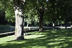 Mature shade trees and benches on the lawn above the stone edged swimming pool. courtesy of davidpinter&nearr; (CC BY 3.0&nearr;)