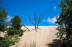 Mount Baldy rising from the shoreline at the eastern end of Indiana Dunes National Park. courtesy of rboed*&nearr; (CC BY 2.0&nearr;)