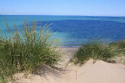 The largest living dune in the park, migrating inland roughly four feet each year. courtesy of Indianadunes&nearr; (CC BY-SA 4.0&nearr;)