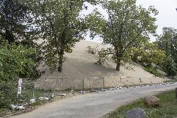 Sand advancing inland off the crest, burying the trees standing in its path. courtesy of Indianadunes&nearr; (CC BY-SA 4.0&nearr;)