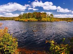 A small wooded island on Gouldsboro Lake, seen from the state park shore. courtesy of Nicholas&nearr; (CC BY 2.0&nearr;)