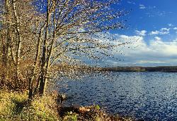 Shoreline along Gouldsboro Lake in Monroe and Wayne counties, Pennsylvania. courtesy of Nicholas_T&nearr; (CC0&nearr;)