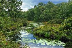 Stream feeding the south end of Gouldsboro Lake inside the state park. courtesy of Nicholas A. Tonelli from Northeast Pennsylvania, USA&nearr; (CC BY 2.0&nearr;)
