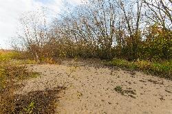 A sandbar on the Black River upstream of La Crosse, the same sand that builds the beach. courtesy of wackybadger&nearr; (CC BY-SA 2.0&nearr;)