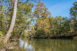 Sycamores leaning over the Eleven Point River in the Ozark hills. courtesy of mostateparks&nearr; (Public domain&nearr;)