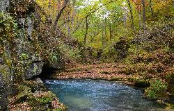 Greer Spring emerging at the base of its bluff in late October. courtesy of Kbh3rd&nearr; (CC BY 3.0&nearr;)