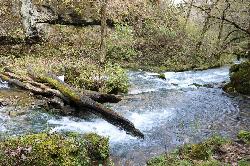 Greer Spring, whose branch more than doubles the Eleven Point's flow just above Greer Crossing. courtesy of usfs_Eastern_Region&nearr; (Public domain&nearr;)