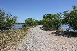 Open water and shoreline at Lake Arrowhead State Park in Clay County, Texas. courtesy of Nicolas Henderson from Coppell, Texas&nearr; (CC BY 2.0&nearr;)