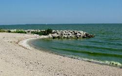 The sand beach at Maumee Bay State Park on Lake Erie, near Toledo. courtesy of katiebordner&nearr; (CC BY 2.0&nearr;)