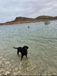 Clear shallow water over the pale cobble shoreline where swimmers wade in courtesy of Viking Warrior Princess&nearr; (CC BY 2.0&nearr;)