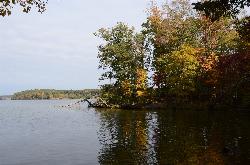 Autumn color along the wooded Lake Anna shoreline. courtesy of Virginia State Parks staff&nearr; (CC BY 2.0&nearr;)