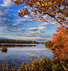 The shoreline of Tobyhanna Lake, followed for 5.1 miles by the blue-blazed Lakeside Trail